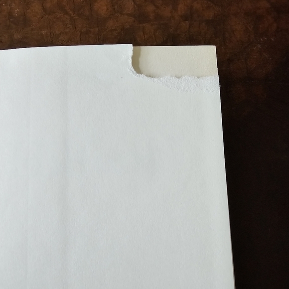 The Hiltons: The True Story of an American Dynasty Hardcover Book, Taraborrelli - Picture 7 of 11